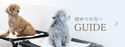 初めての方へ