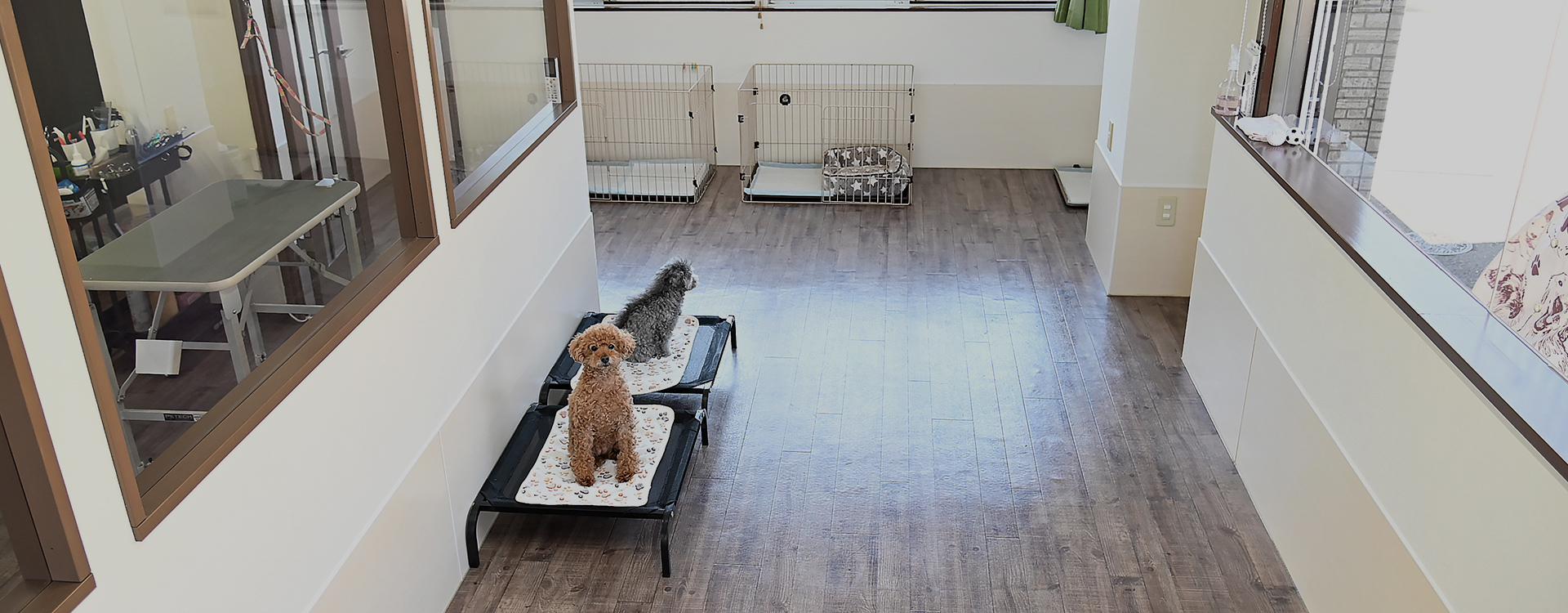 Dog Salon Tree
